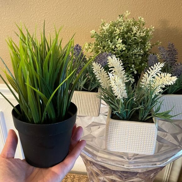 Faux Plants Lot of 5 Lavender in Ceramic Square Pots - Picture 7 of 11